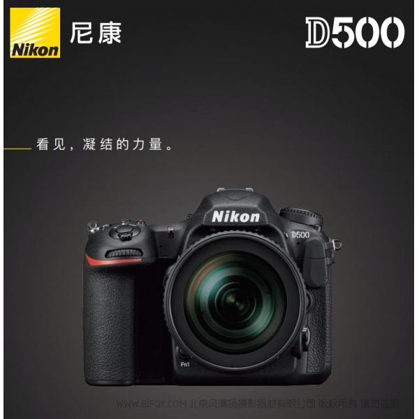 Nikon D500尼康宣传彩页 海报 宣传册 经销商宣传画册 展会宣传图 